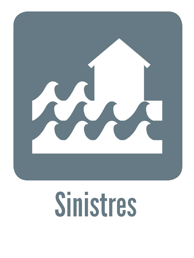 sinistres_small